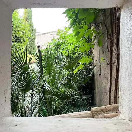 Ecurie De L Oasis Caux