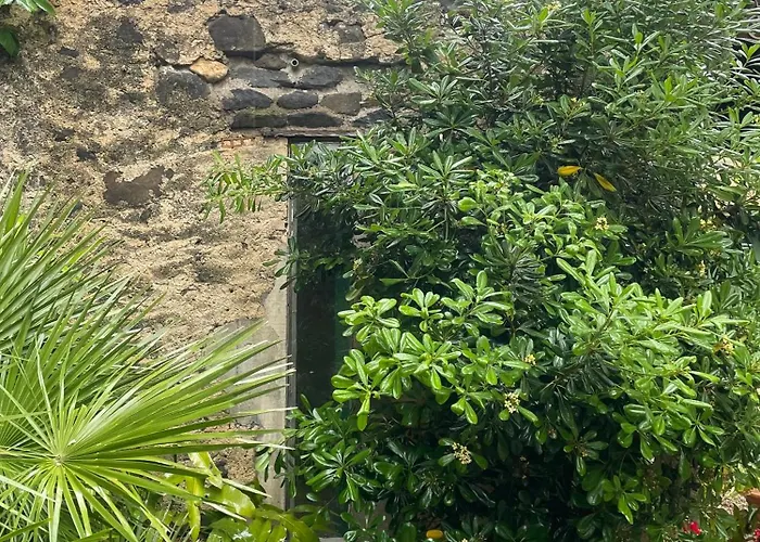 Ecurie De L Oasis * Caux