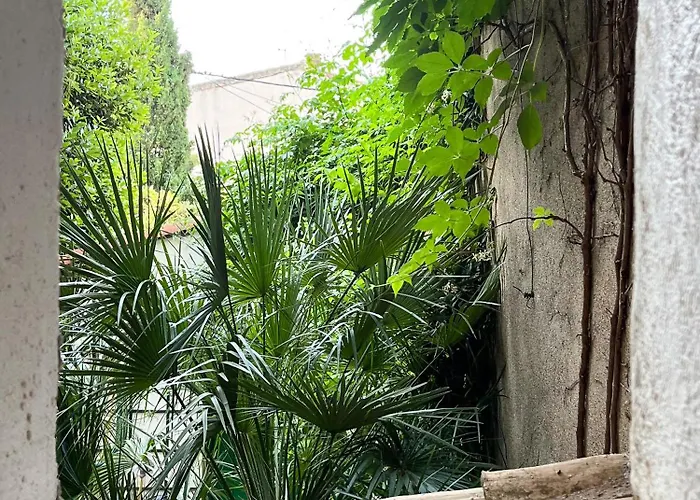 Ecurie De L Oasis Caux